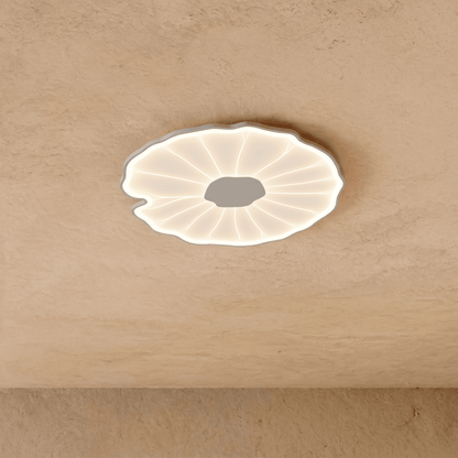Fyntor Ceiling Light