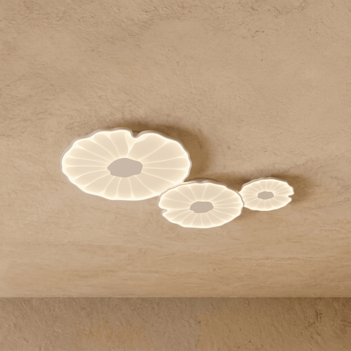 Fyntor Ceiling Light