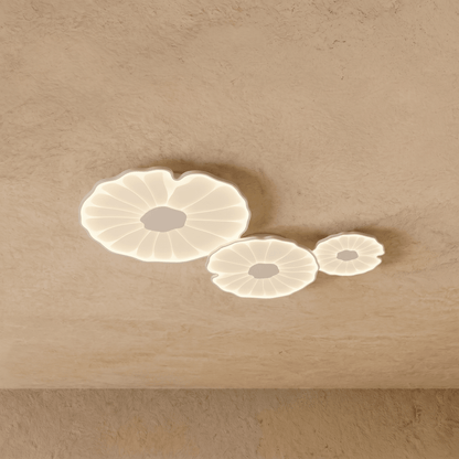 Fyntor Ceiling Light