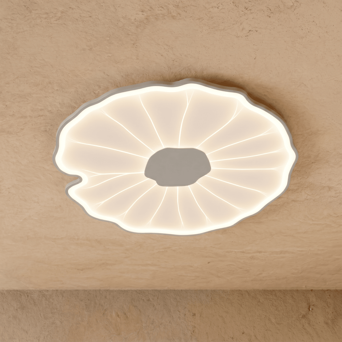 Fyntor Ceiling Light