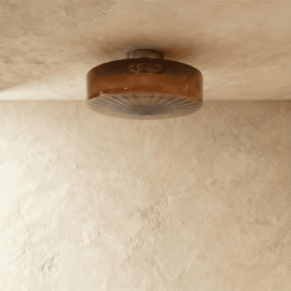 Hasos Ceiling Light