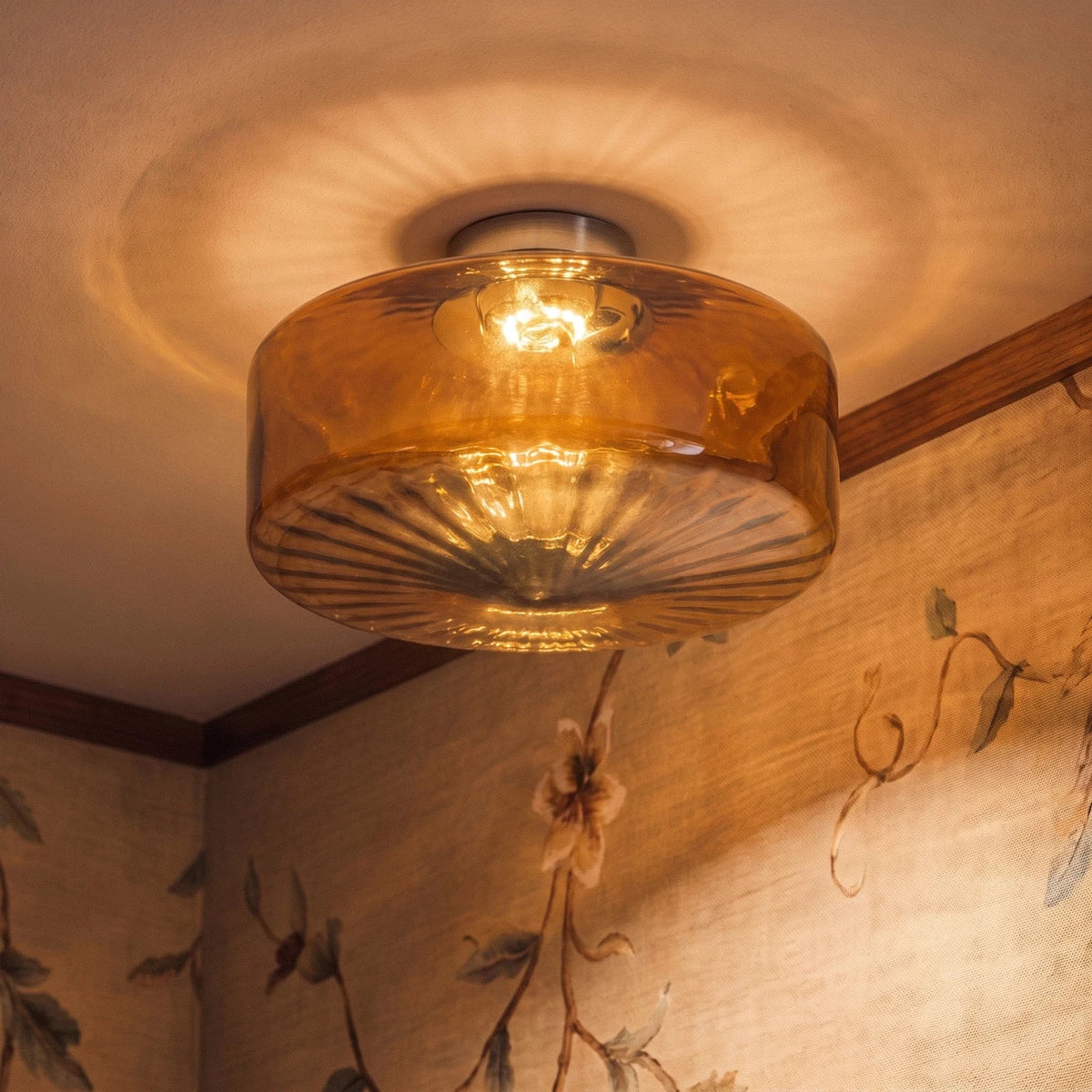Hasos Ceiling Light