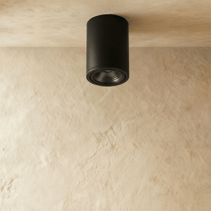 Hunar Downlight