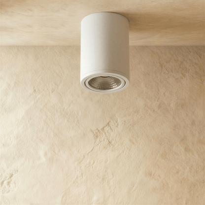 Hunar Downlight