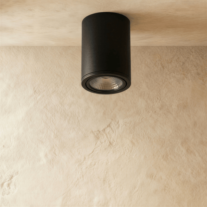 Hunar Downlight