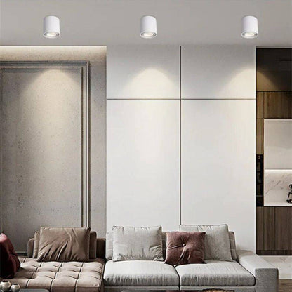 Hunar Downlight