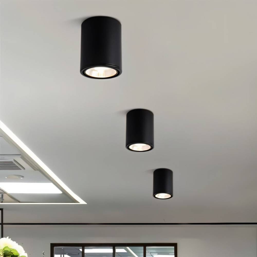 Hunar Downlight