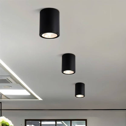 Hunar Downlight