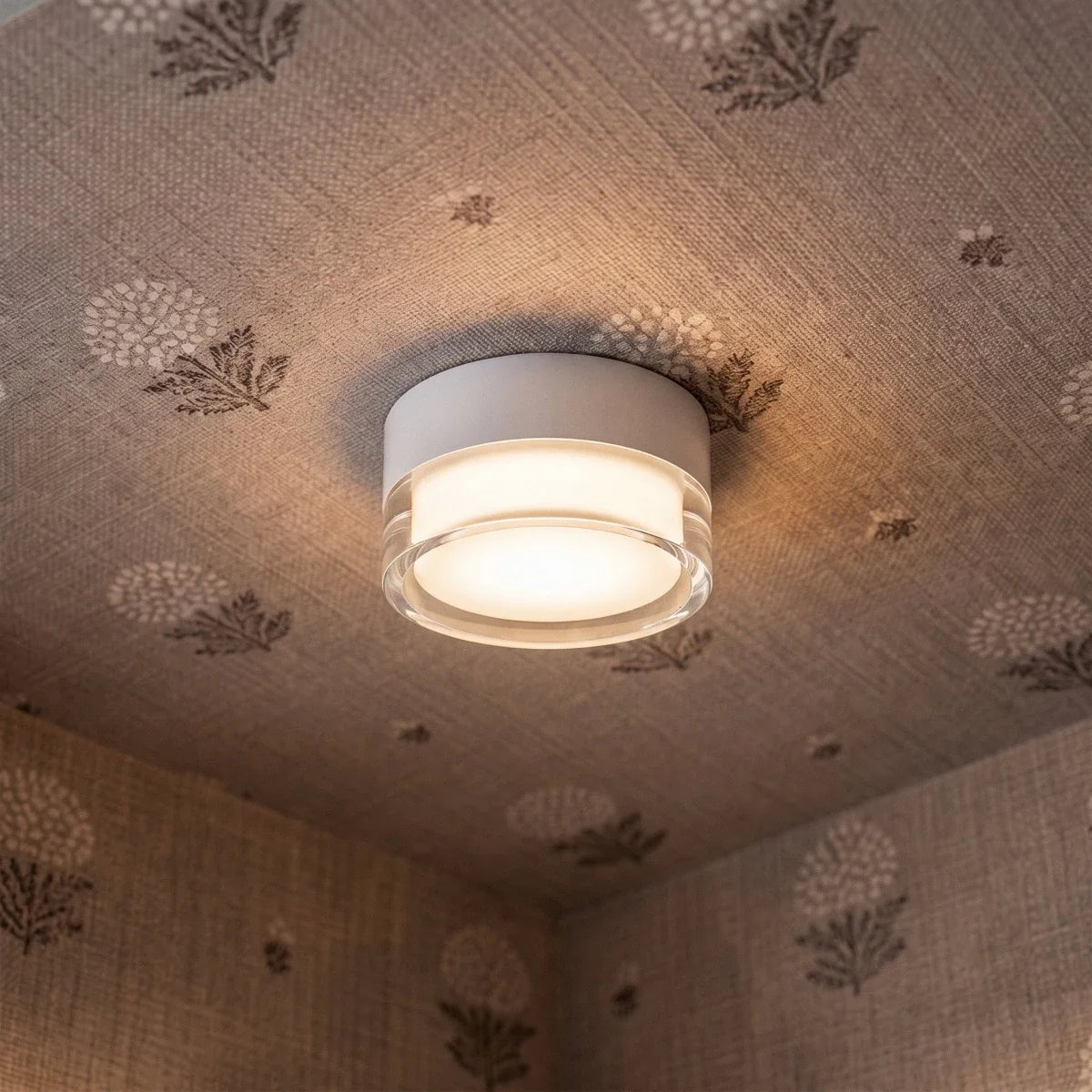 Ian Downlight