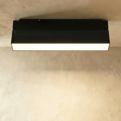 Ishir Track Light System