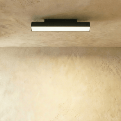 Ishir Track Light System