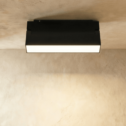 Ishir Track Light System