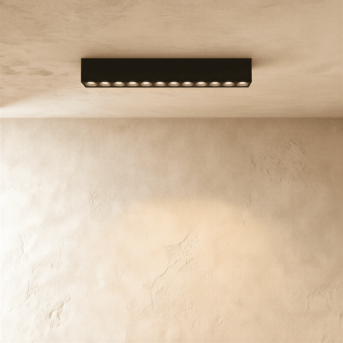Janae Track Light System