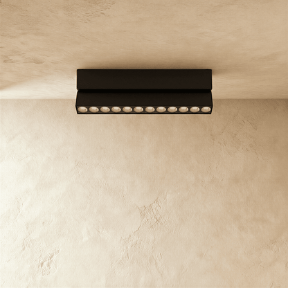 Janae Track Light System