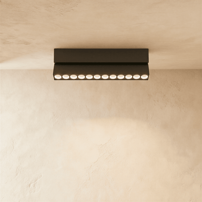 Janae Track Light System