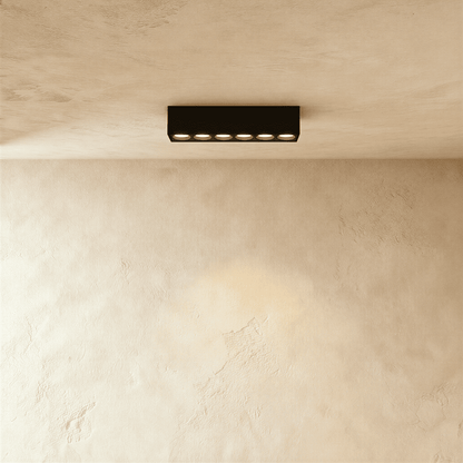 Janae Track Light System