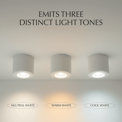 Jannis Downlight