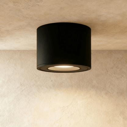 Jannis Downlight