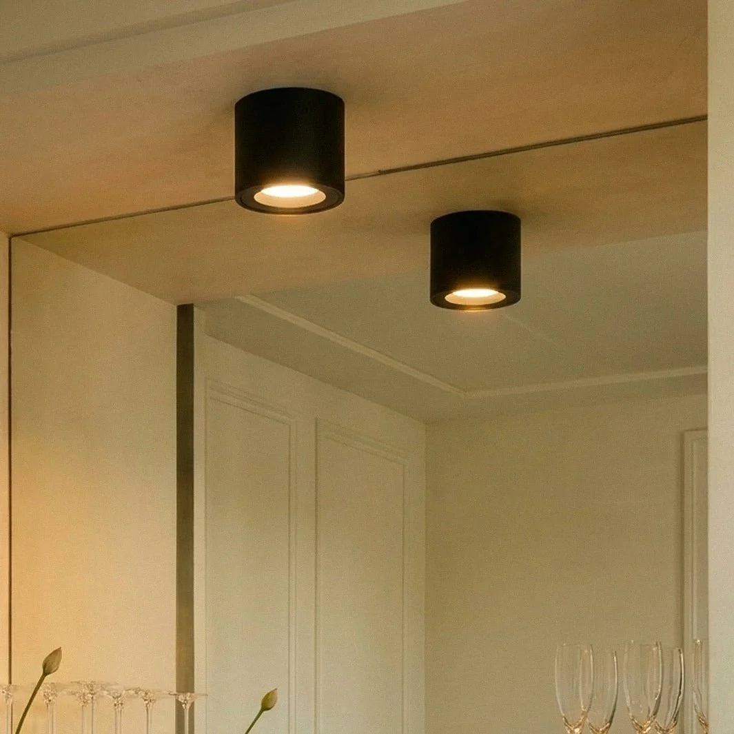 Jannis Downlight
