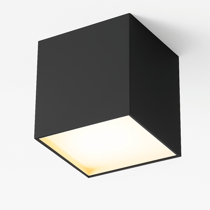 Kaiden Downlight