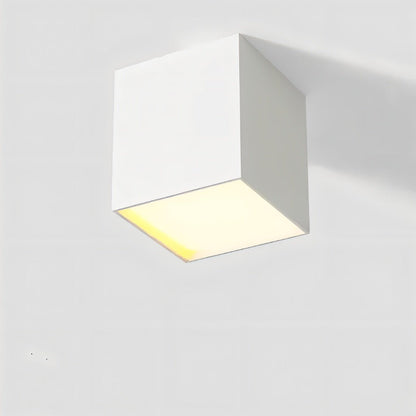 Kaiden Downlight