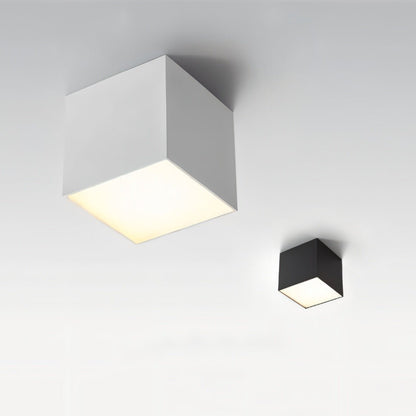 Kaiden Downlight