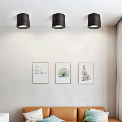 Kelis Downlight