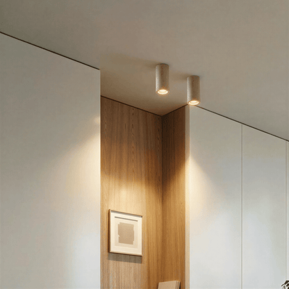 Lino Downlight