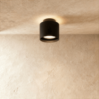 Lucinda Ceiling Light