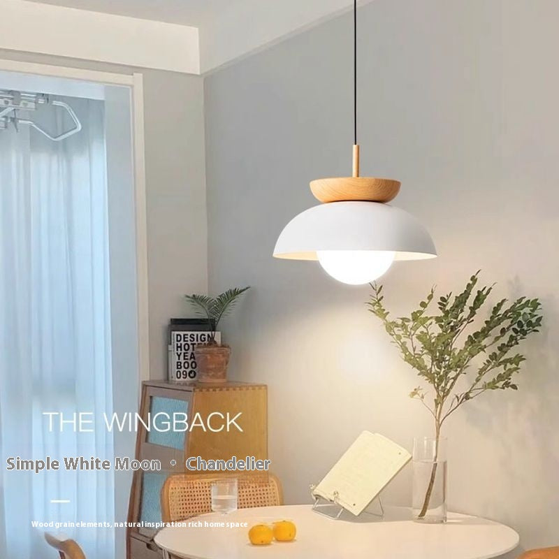 Modern Iron LED Hallway Ceiling Light / Without Bulb / White