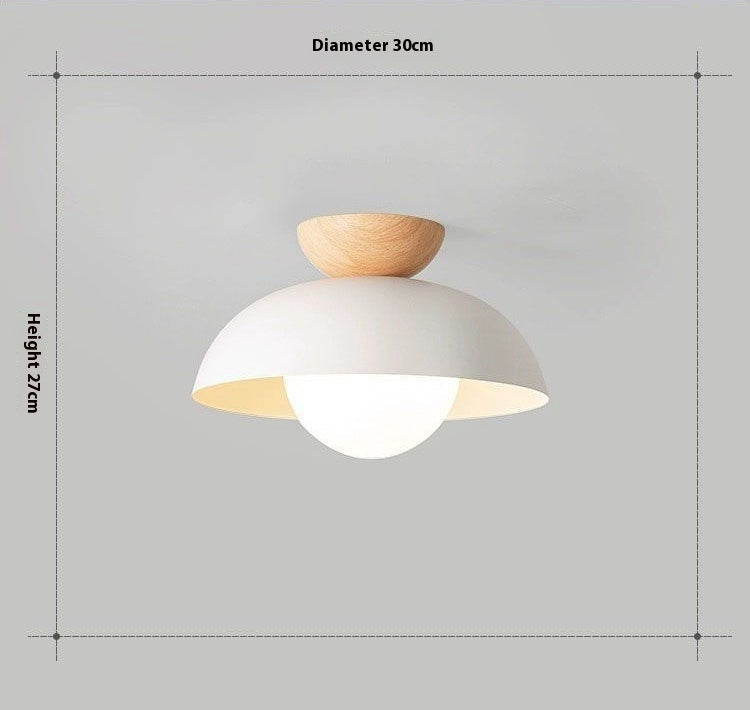 Modern Iron LED Hallway Ceiling Light / Tricolor Light / Black