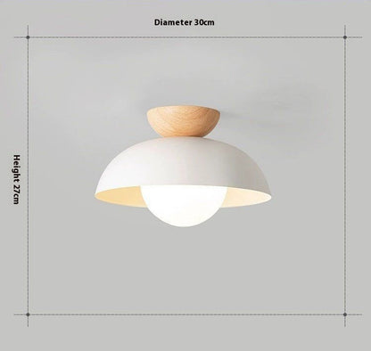 Modern Iron LED Hallway Ceiling Light / Tricolor Light / Black