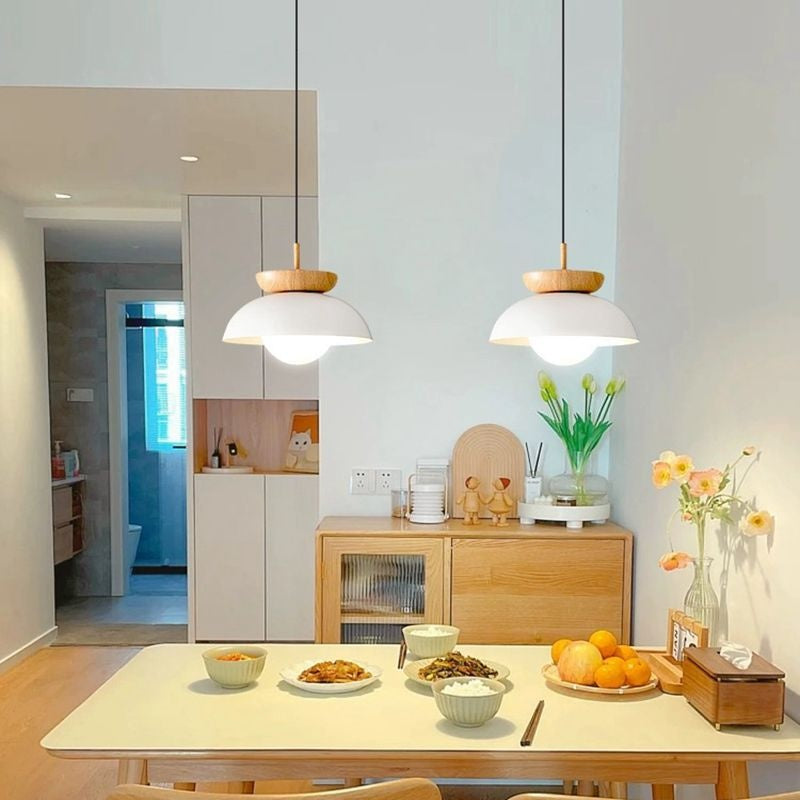 Modern Iron LED Hallway Ceiling Light / Warm Light / Black