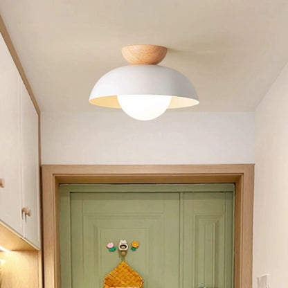 Modern Iron LED Hallway Ceiling Light / Tricolor Light / White
