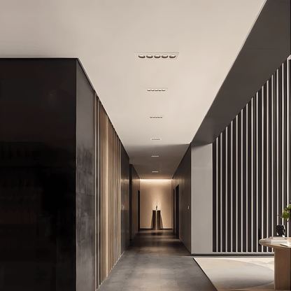 Morix Adjustable Downlight