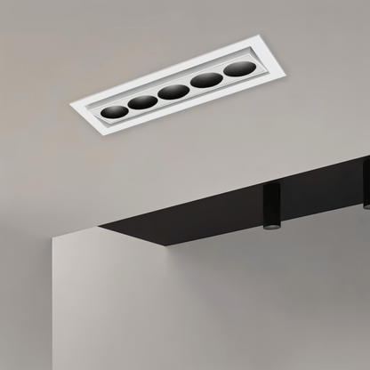 Morix Adjustable Downlight