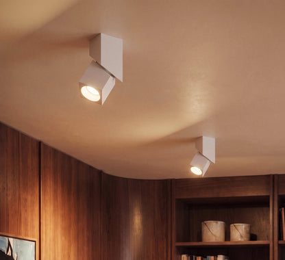Murakab Downlight