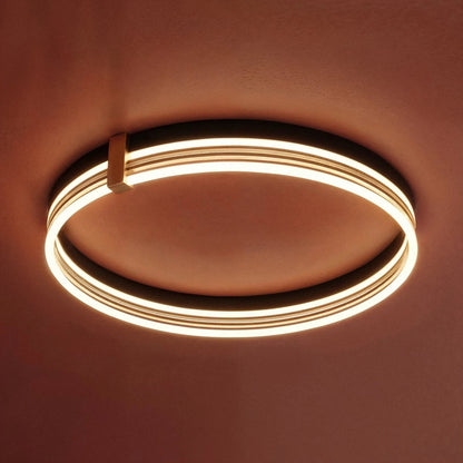 Nudara Ceiling Light