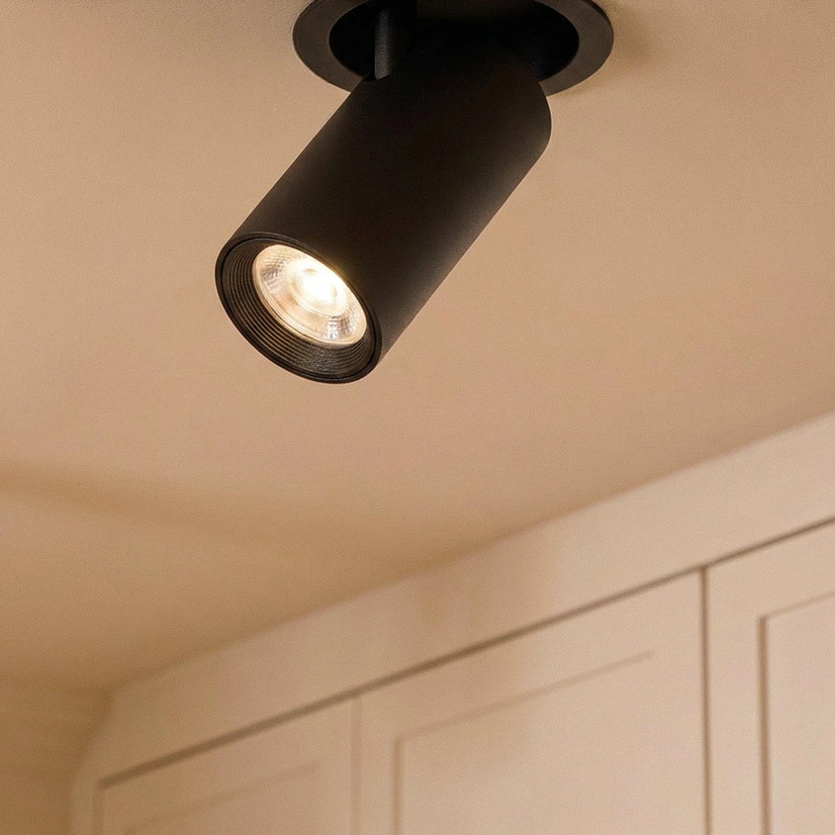 Oryal Downlight