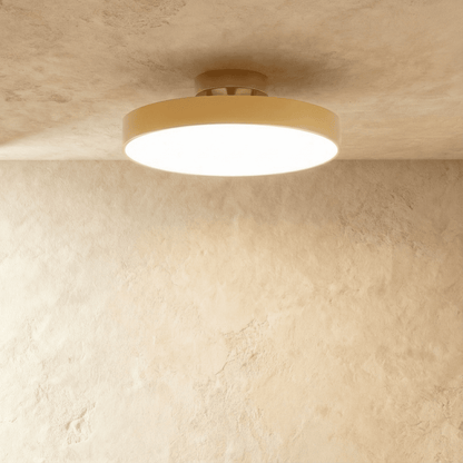 Rupert Ceiling Light