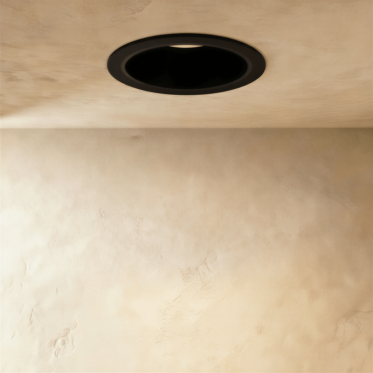 Silis Adjustable Downlight