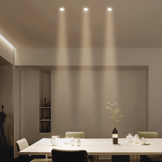 Silis Adjustable Downlight