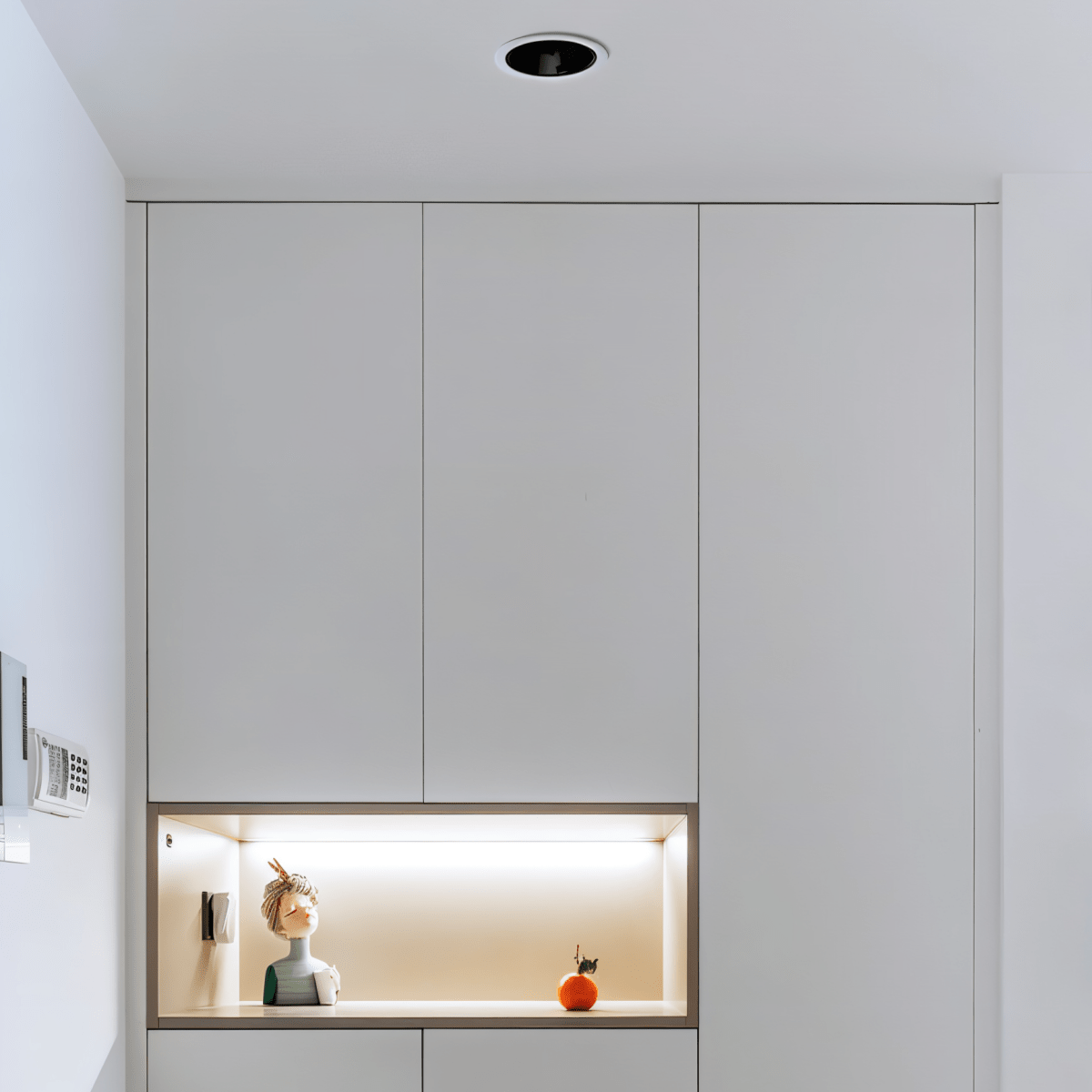 Silis Adjustable Downlight