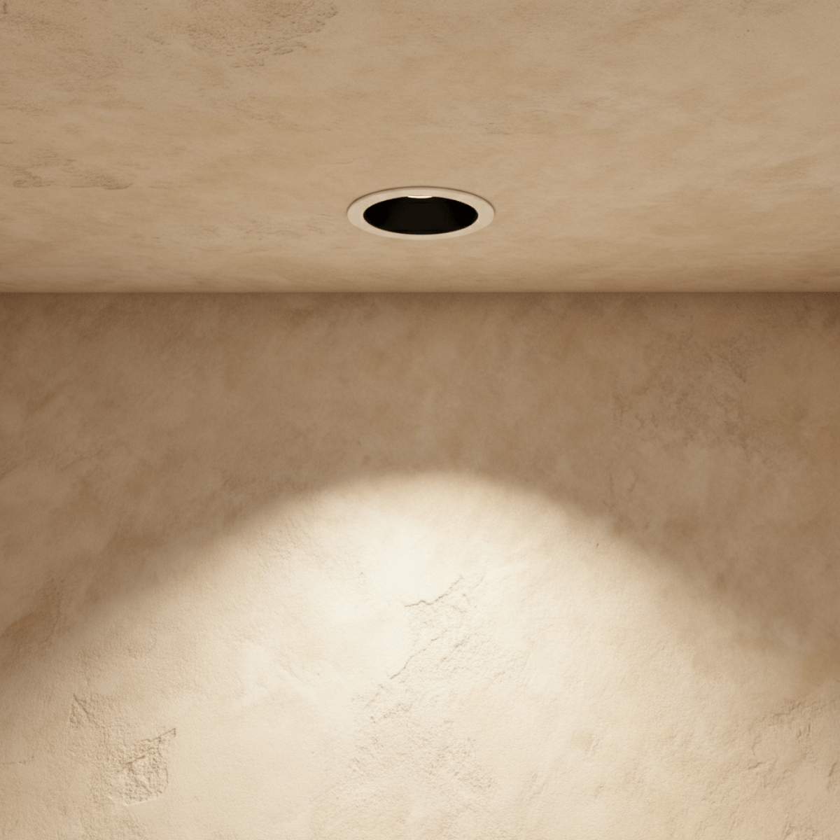 Silis Adjustable Downlight