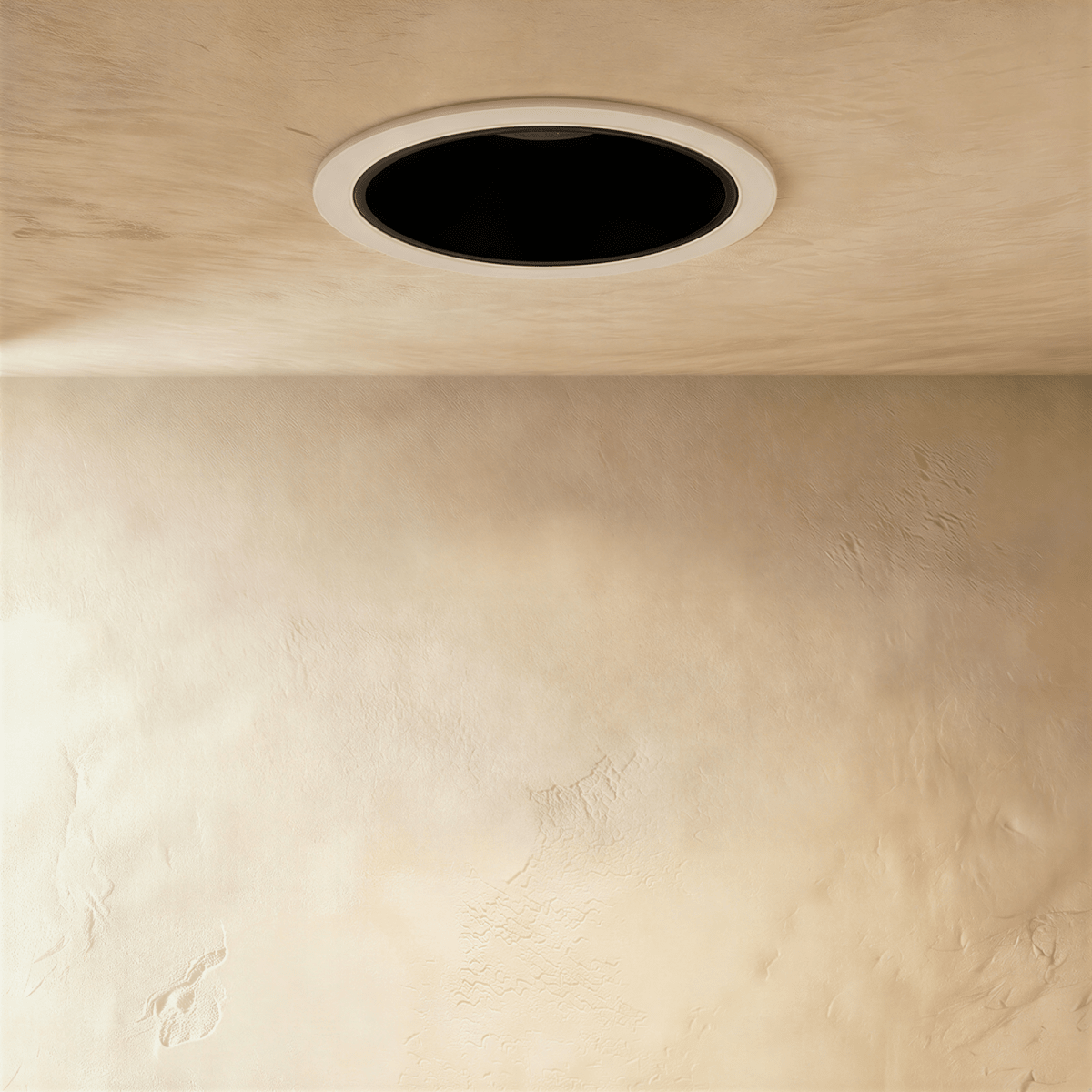 Silis Adjustable Downlight