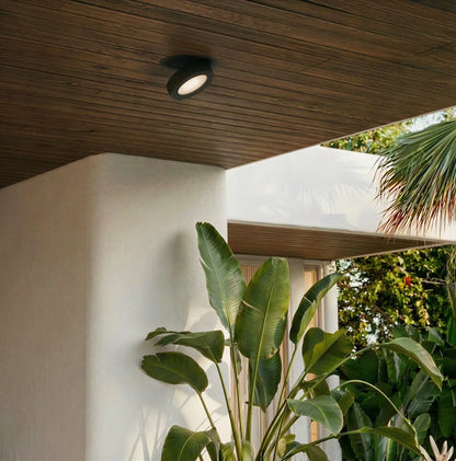 Simon Downlight