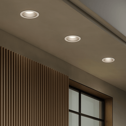 Velar Adjustable Downlight