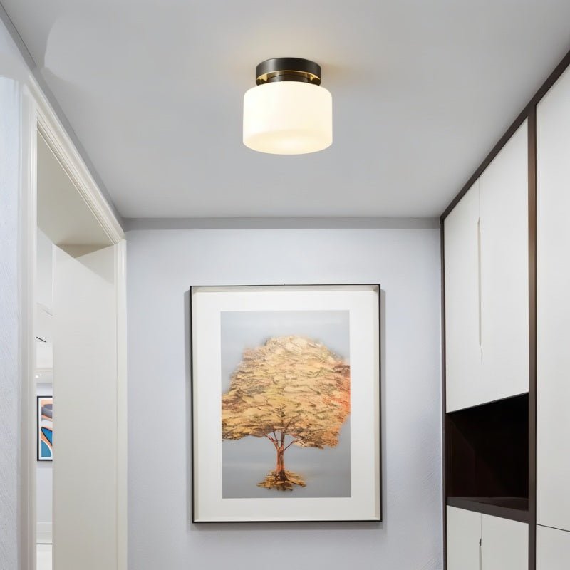 Zilt Ceiling Light