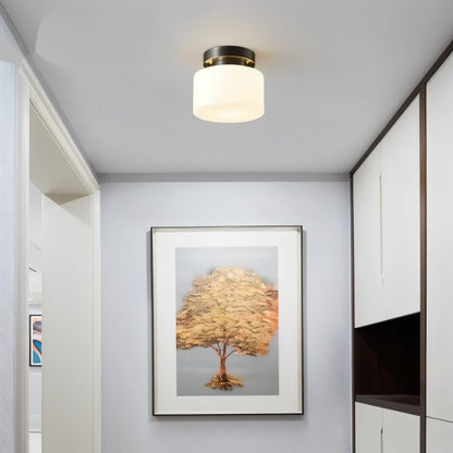 Zilt Ceiling Light